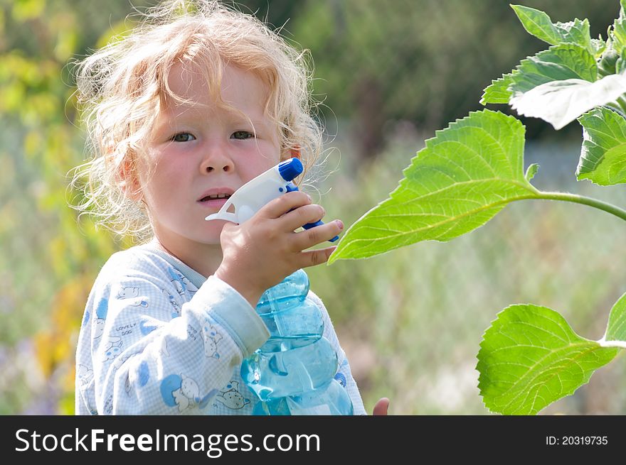 Little girl watering plants in the garden. Hot summer day.