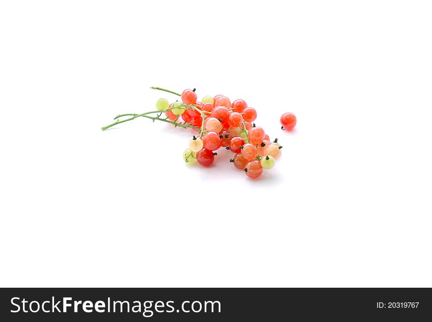The red currant isolated on white