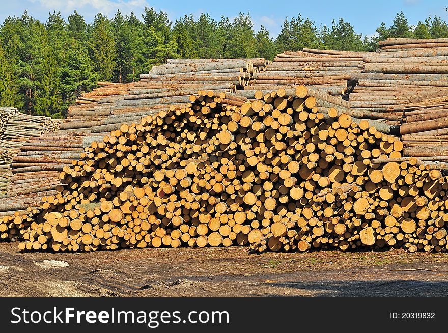 Heap of timber to foliage backgraund