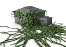 House Covered With Ivy Royalty Free Stock Image House Covered With Ivy Royalty Free Stock Image