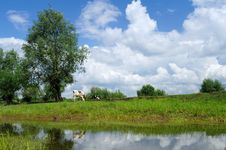 A Cow Under Blue Sky And White Clouds Stock Photos A Cow Under Blue Sky And White Clouds Stock Photos
