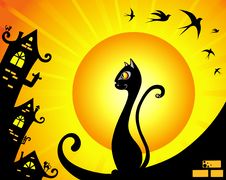 Cat Royalty Free Stock Photo Cat Royalty Free Stock Photo
