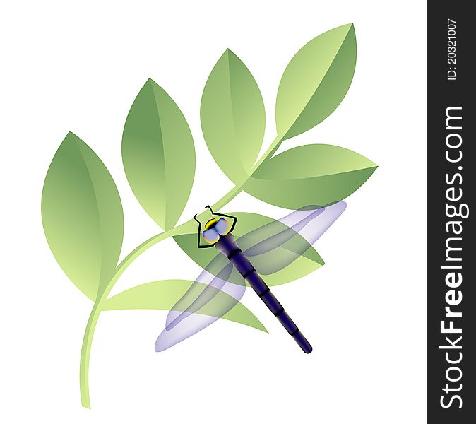 An illustration of dragonfly on leaves
