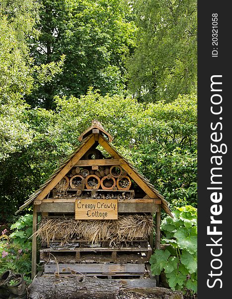 An insect and bug haven in a nature reserve. An insect and bug haven in a nature reserve