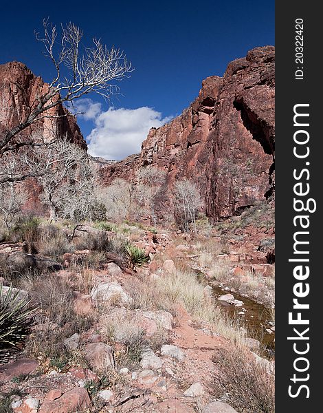 The canyon bottom in the Clear Creek has numerous and interesting cliff walls, trees, and always a possibility of a flash flood. The canyon bottom in the Clear Creek has numerous and interesting cliff walls, trees, and always a possibility of a flash flood.