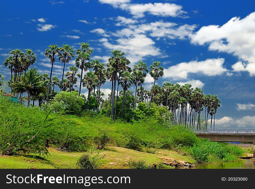 Western ghats in India with thick vegetation. Western ghats in India with thick vegetation