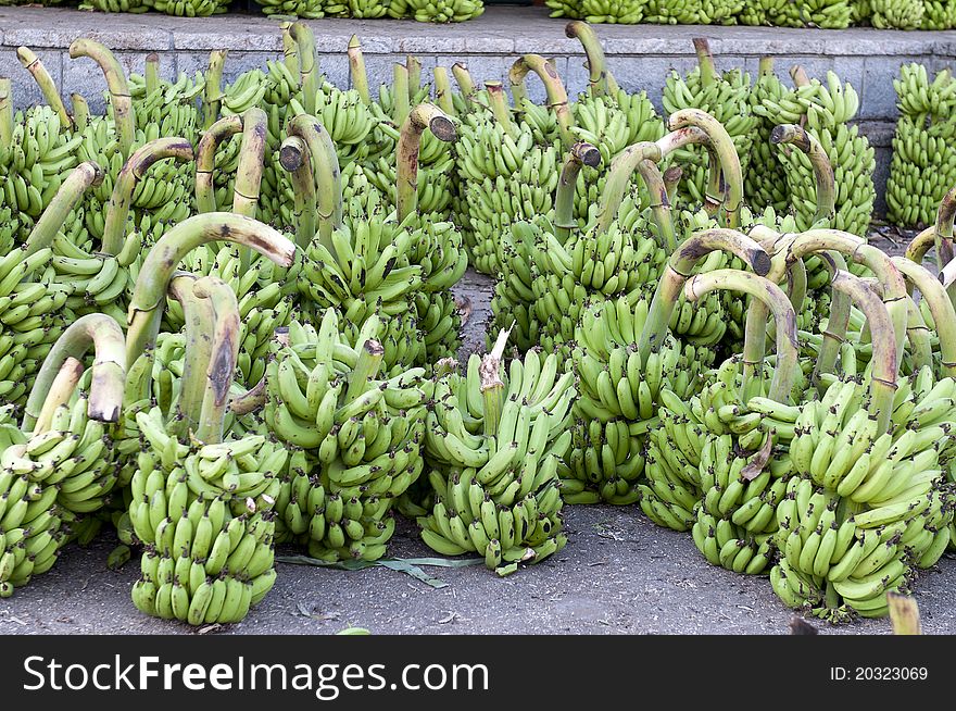Fresh bananas ready for sale at a local market