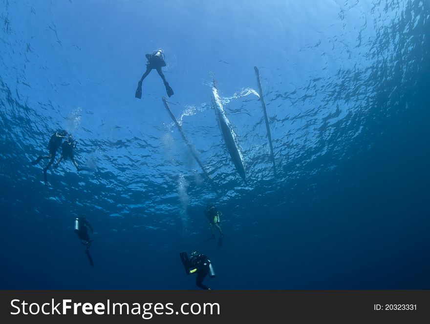 Group of divers descending from an outrigger boat at Bali, Indonesia