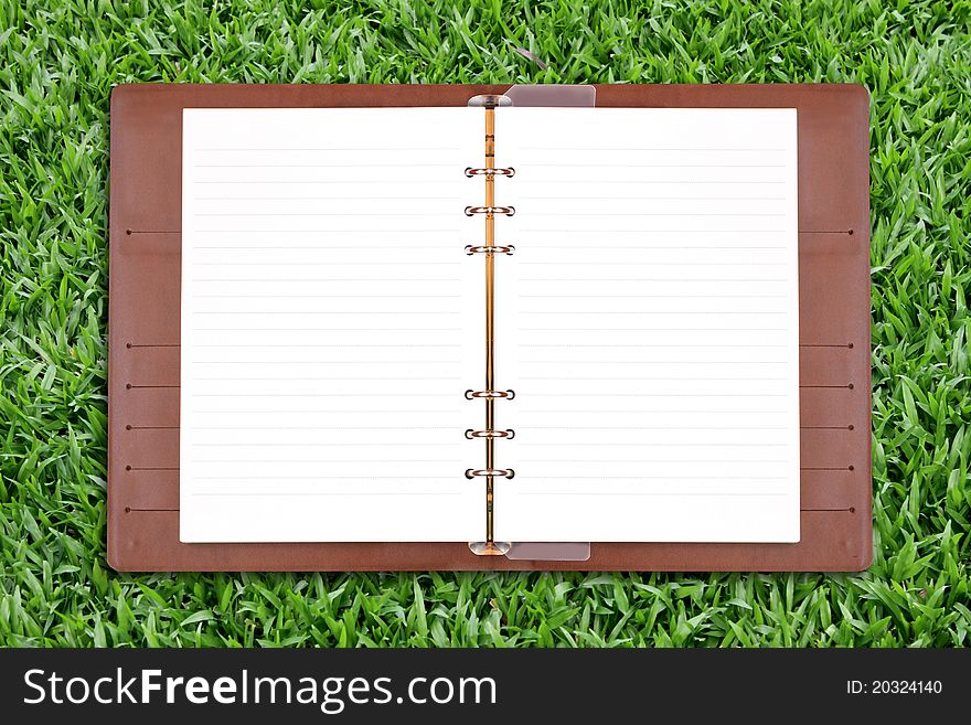 Open diary on green grass background