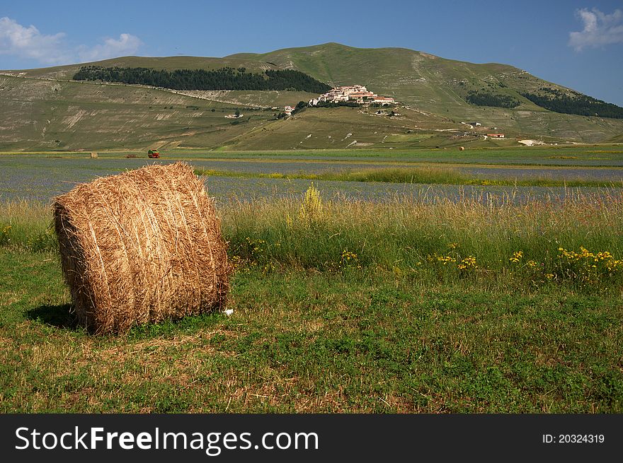 Photo of a summer landscape in Italy