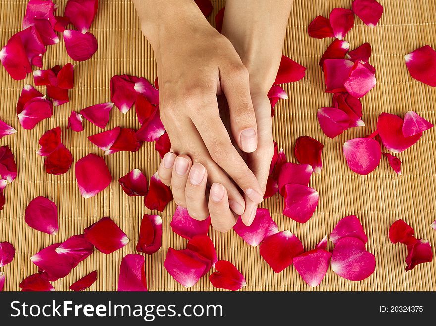 Close-up of hands are on red rose petals. Close-up of hands are on red rose petals