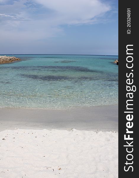 Tropical Beach in The Bahamas