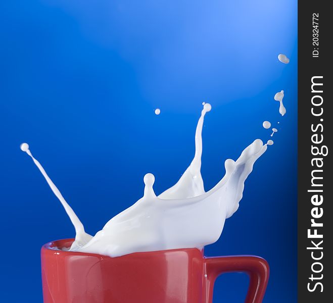Milk splashing out of cup isolated over blue background. Milk splashing out of cup isolated over blue background