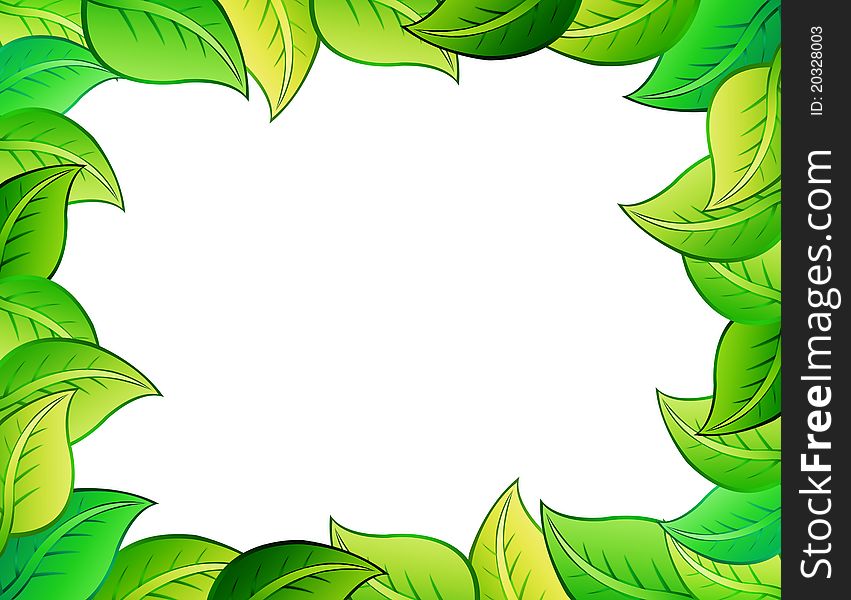 Green leafs of tree over white background. illustration