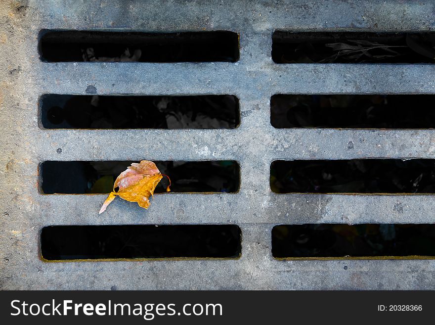 A dry stormdrain with a solitary autumn leaf.