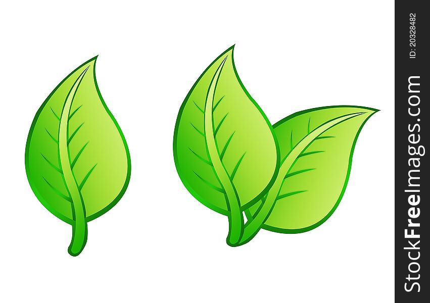 Green leafs isolated over white background. illustration