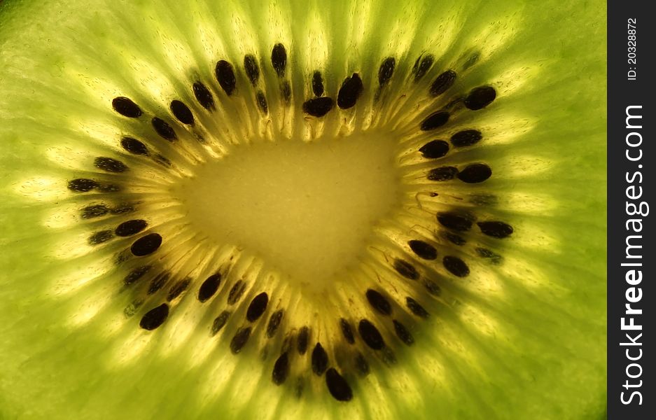 Macro shot of sliced kiwi. Macro shot of sliced kiwi
