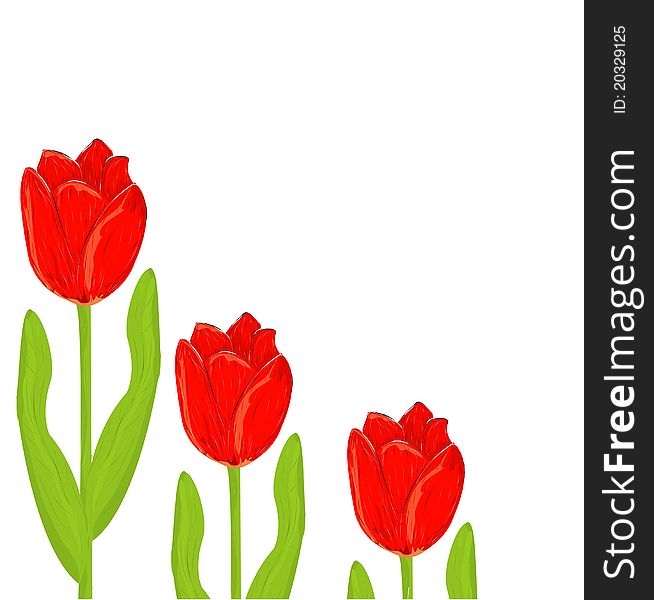 Three red tulip spring card