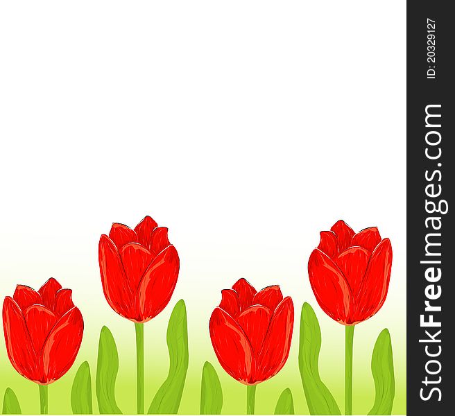 Red tulip spring card on white
