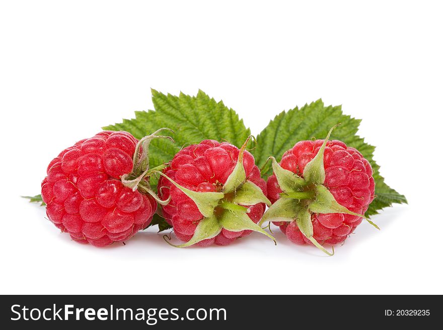 Raspberries with leaf on white background