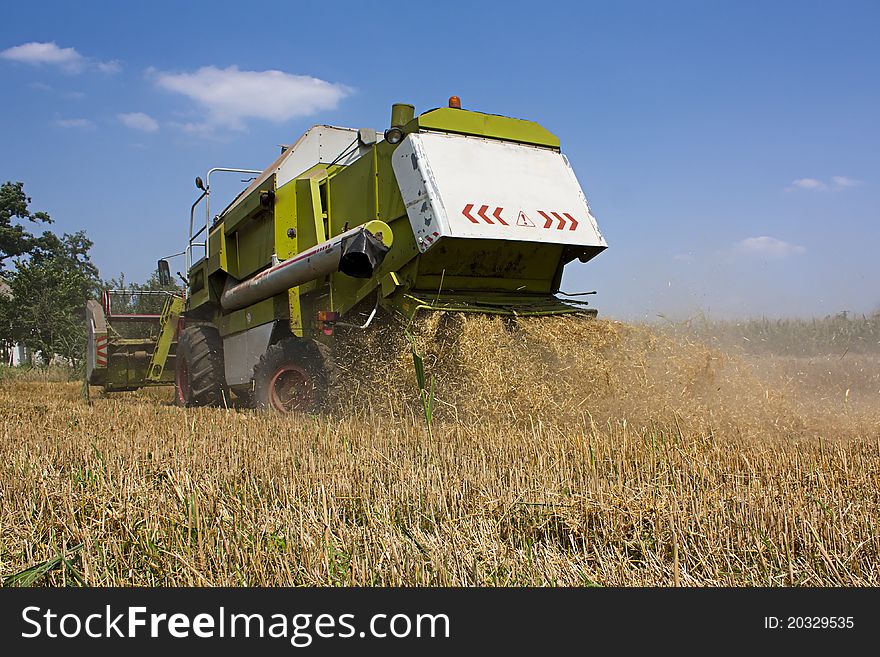 Combined Harvester Collecting Wheat Or Barley