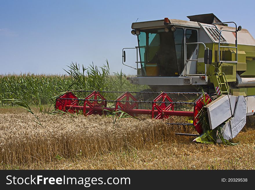 Combined Harvester collecting wheat or barley