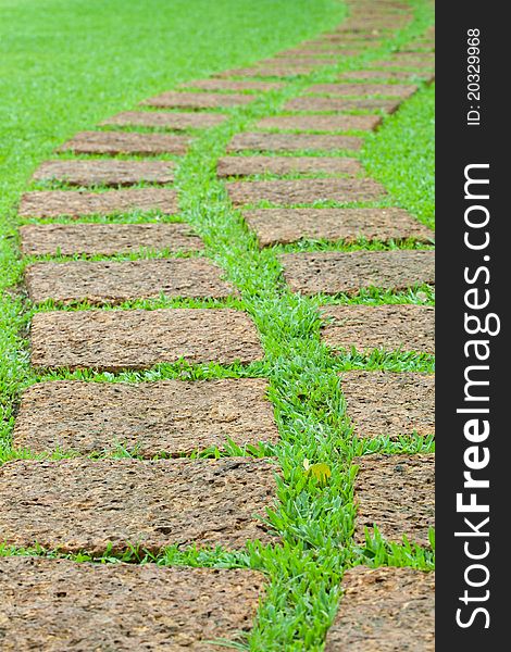 Garden stone path with green grass