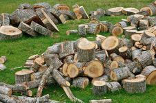 Cut Logs Stock Images Cut Logs Stock Images