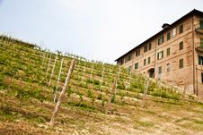 Italian Vineyard - Monferrato Stock Photo Italian Vineyard - Monferrato Stock Photo