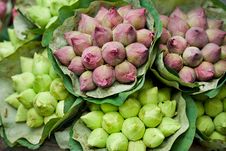 Fresh Lotus Bud Bouquet Stock Photos Fresh Lotus Bud Bouquet Stock Photos
