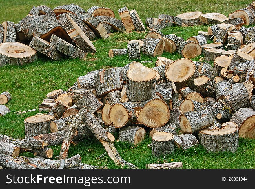 Logs, cut, sawn into discs, lying in field. Logs, cut, sawn into discs, lying in field