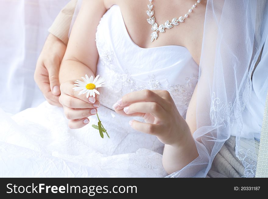 Bride with groom holds a camomile. Bride with groom holds a camomile
