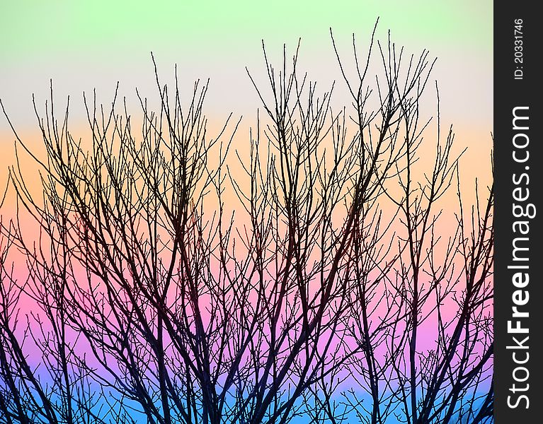 Black tree branch abstract background against colorful sky. Black tree branch abstract background against colorful sky