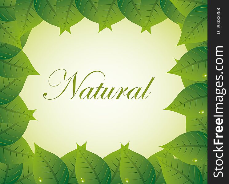 Green leafs with natural text over green and white background. Green leafs with natural text over green and white background