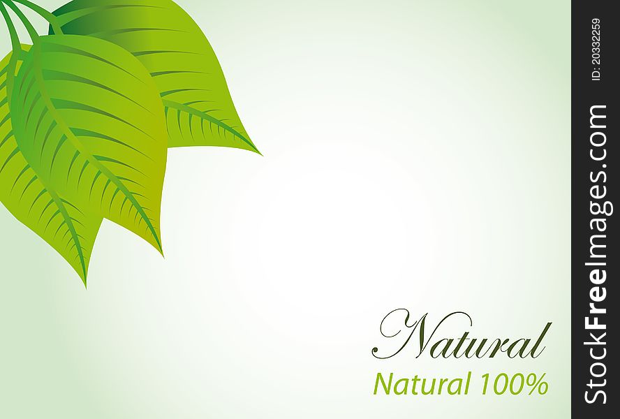 Leaves with 100 percent natural text over green background. Leaves with 100 percent natural text over green background