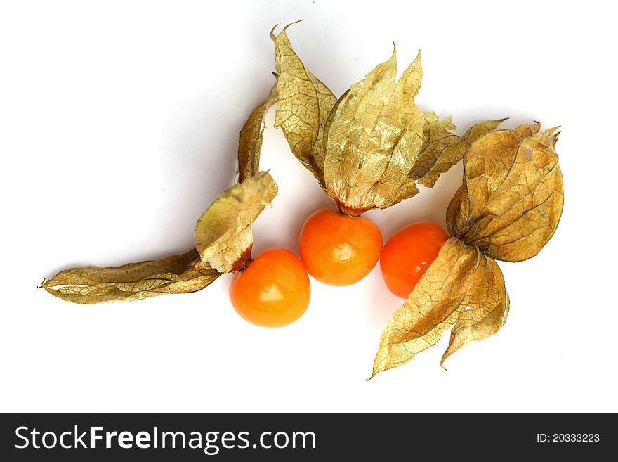 Physalis isolated on white background