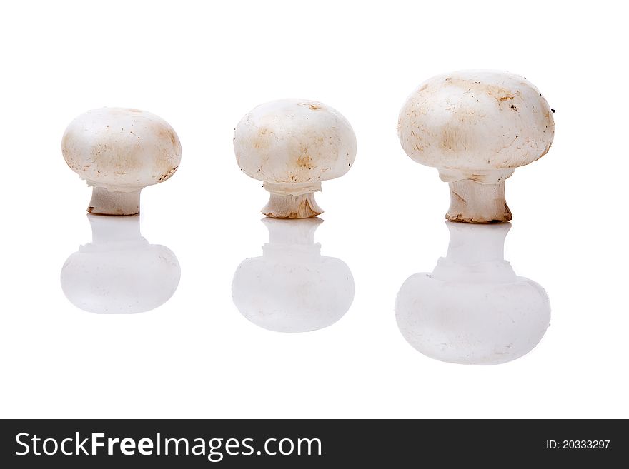 Three mushrooms isolated on white background