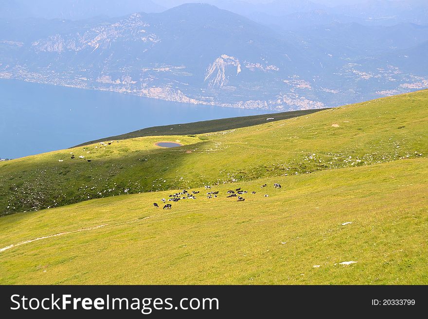 This is the panorama from Monte Baldo, above Garda lake. This is the panorama from Monte Baldo, above Garda lake