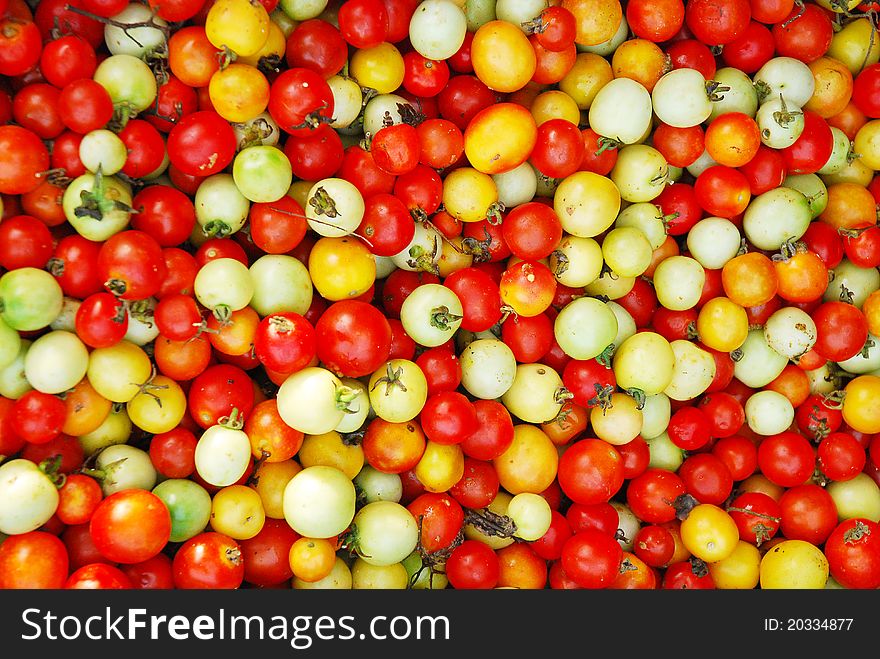 Many tomato is ripe have red,orange,yellow color look so beautiful. Many tomato is ripe have red,orange,yellow color look so beautiful.