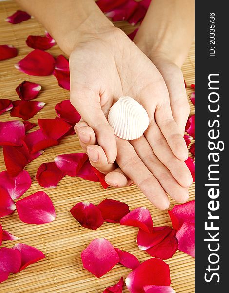 Close-up of beautiful hands holding shell and lie on red rose petals. Close-up of beautiful hands holding shell and lie on red rose petals