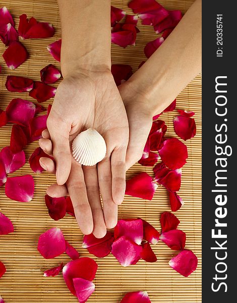 Close-up of beautiful hands holding shell and lie on red rose petals. Close-up of beautiful hands holding shell and lie on red rose petals