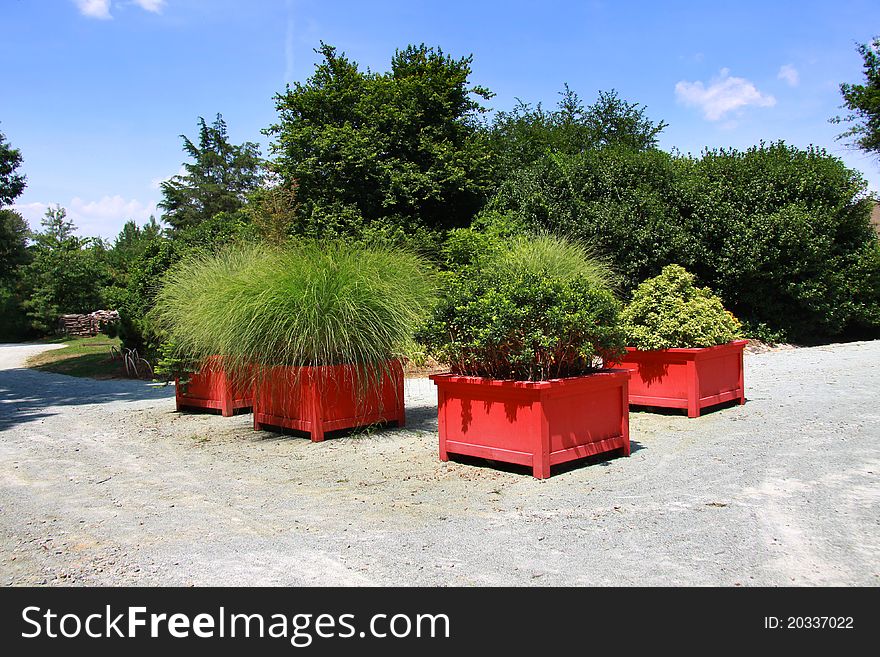 Garden with lush green plants in the red pots