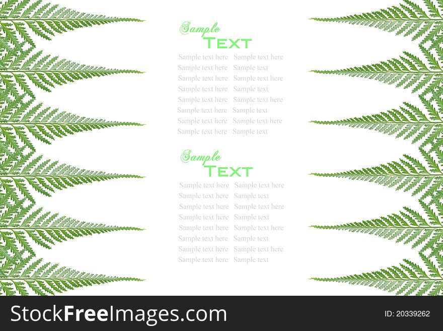 Fern leaves frame with sample text