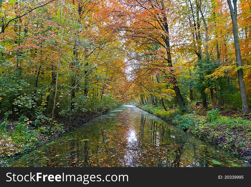 A river in a forrest during fall, showing beautifull colours