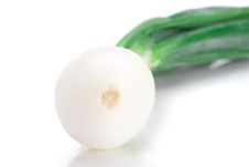 Spring Onion Stock Photo Spring Onion Stock Photo