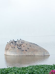 Water Pollution Royalty Free Stock Images Water Pollution Royalty Free Stock Images