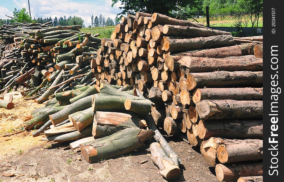 Lot of cutt wood pieces, renewable energy source