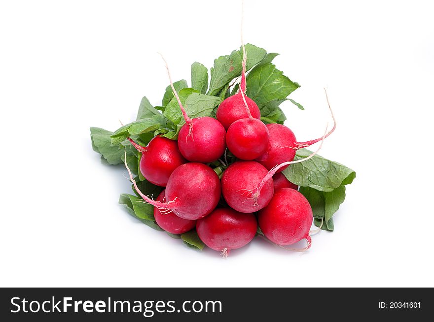 Fresh red radishes on a white background