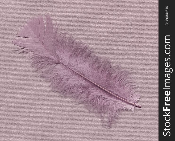 Feather