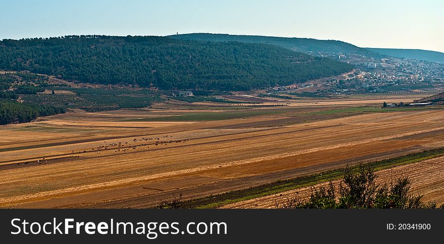 Panorama of agricultural landscape. Lower Gallil. North of Israel. Panorama of agricultural landscape. Lower Gallil. North of Israel.